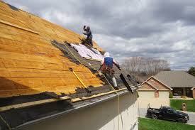 Best Roof Maintenance and Cleaning  in Oakdale, MN